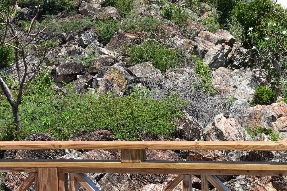 The slopes of Pelican Peak