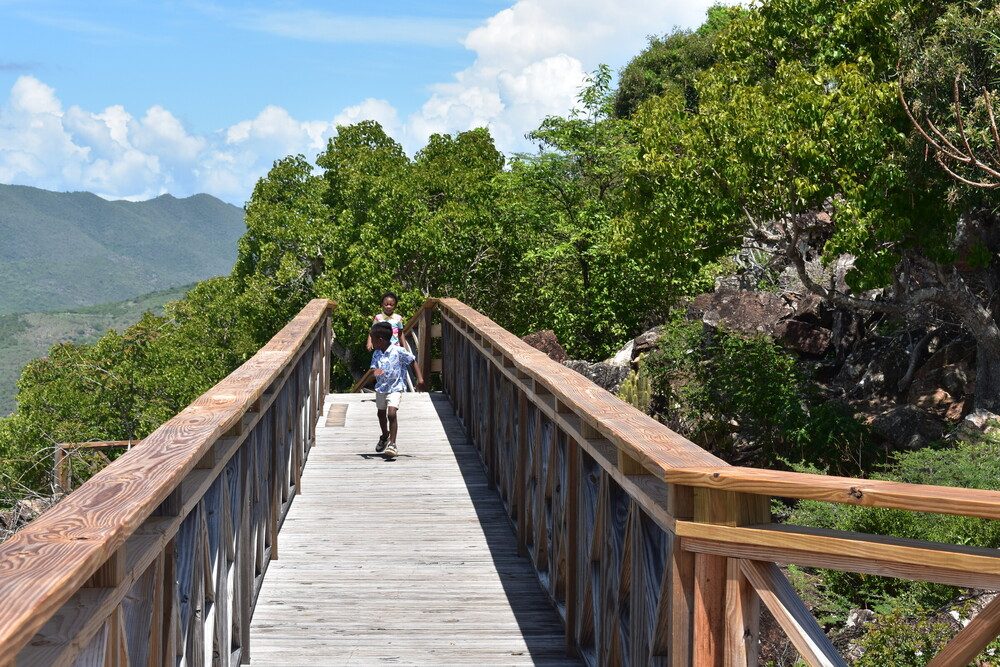 Children on the ridge walkway